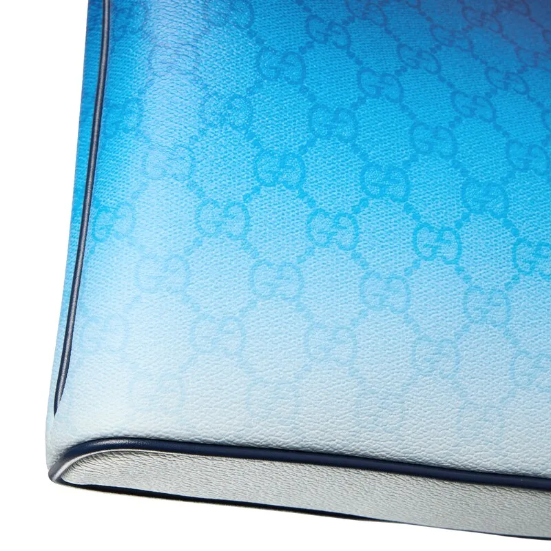 Chroma Medium Pouch