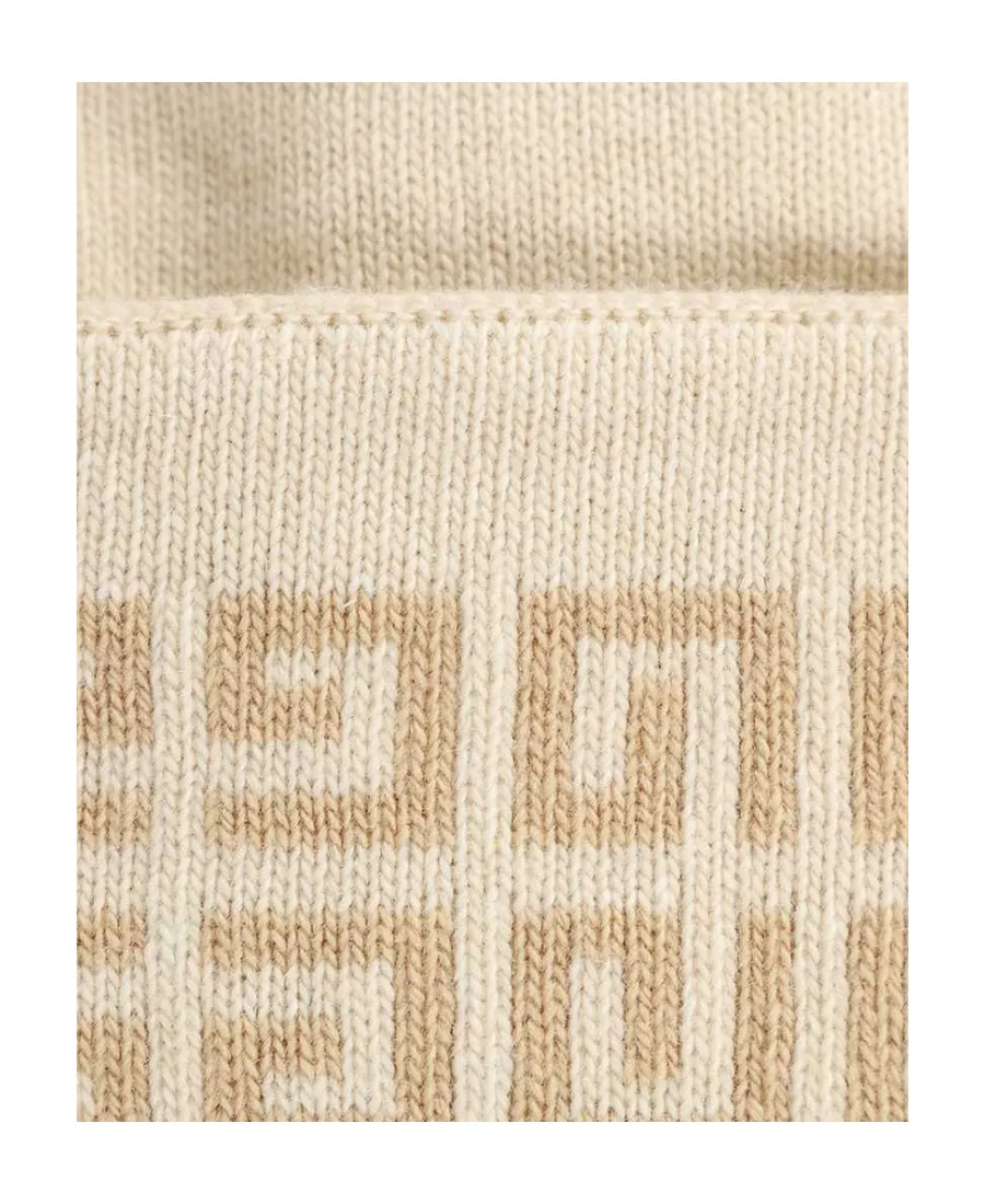 Logo Hat