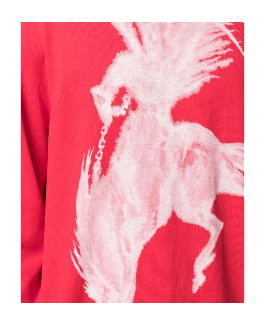 Graphic Printed Sweater