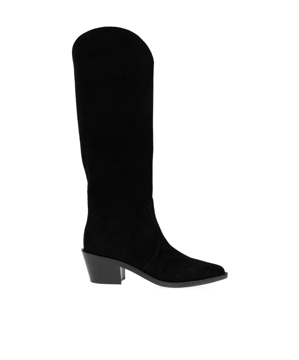 Pointed Toe Boots