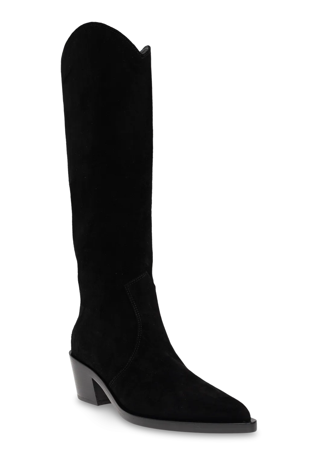 Pointed Toe Boots