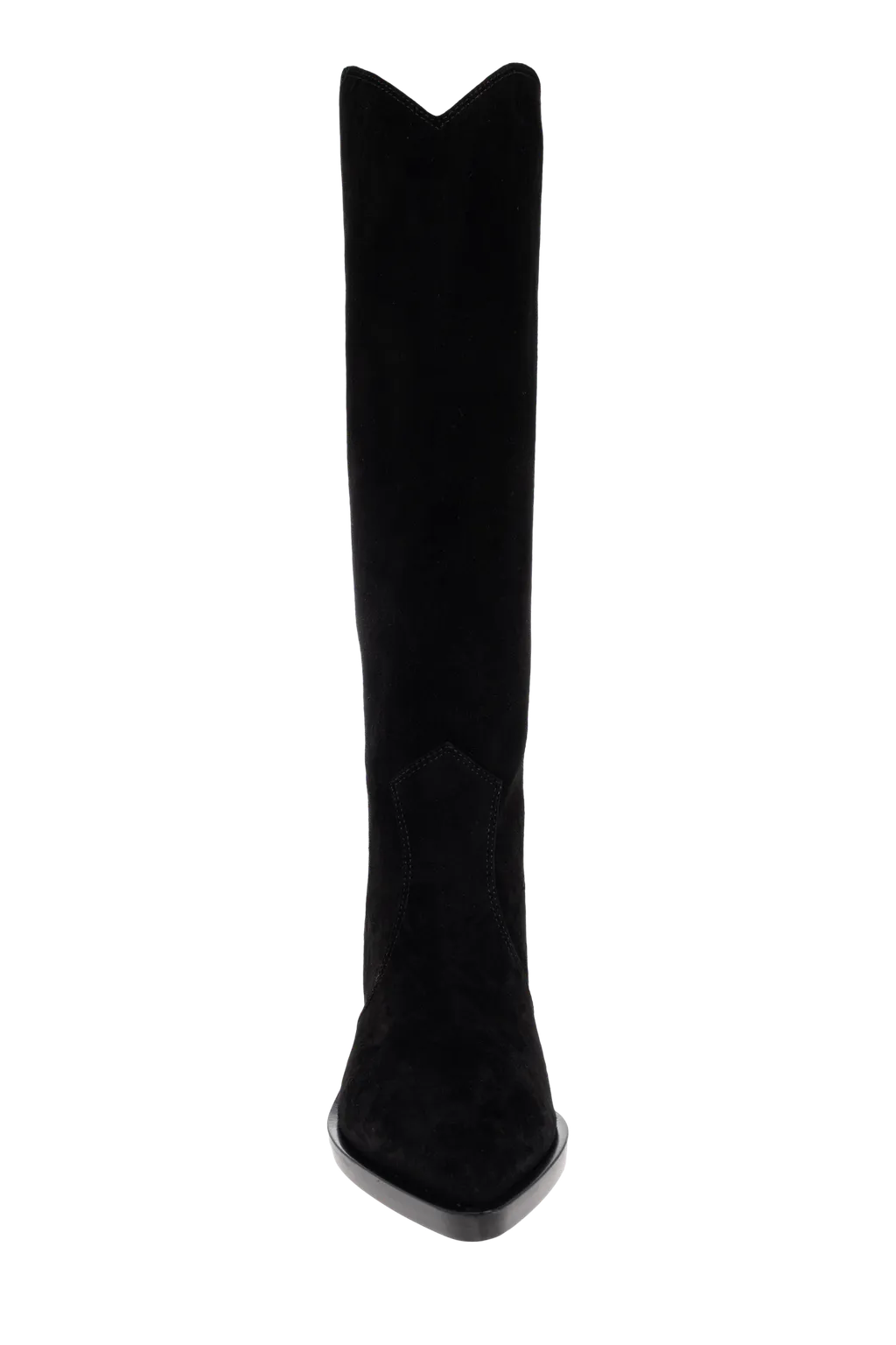 Pointed Toe Boots