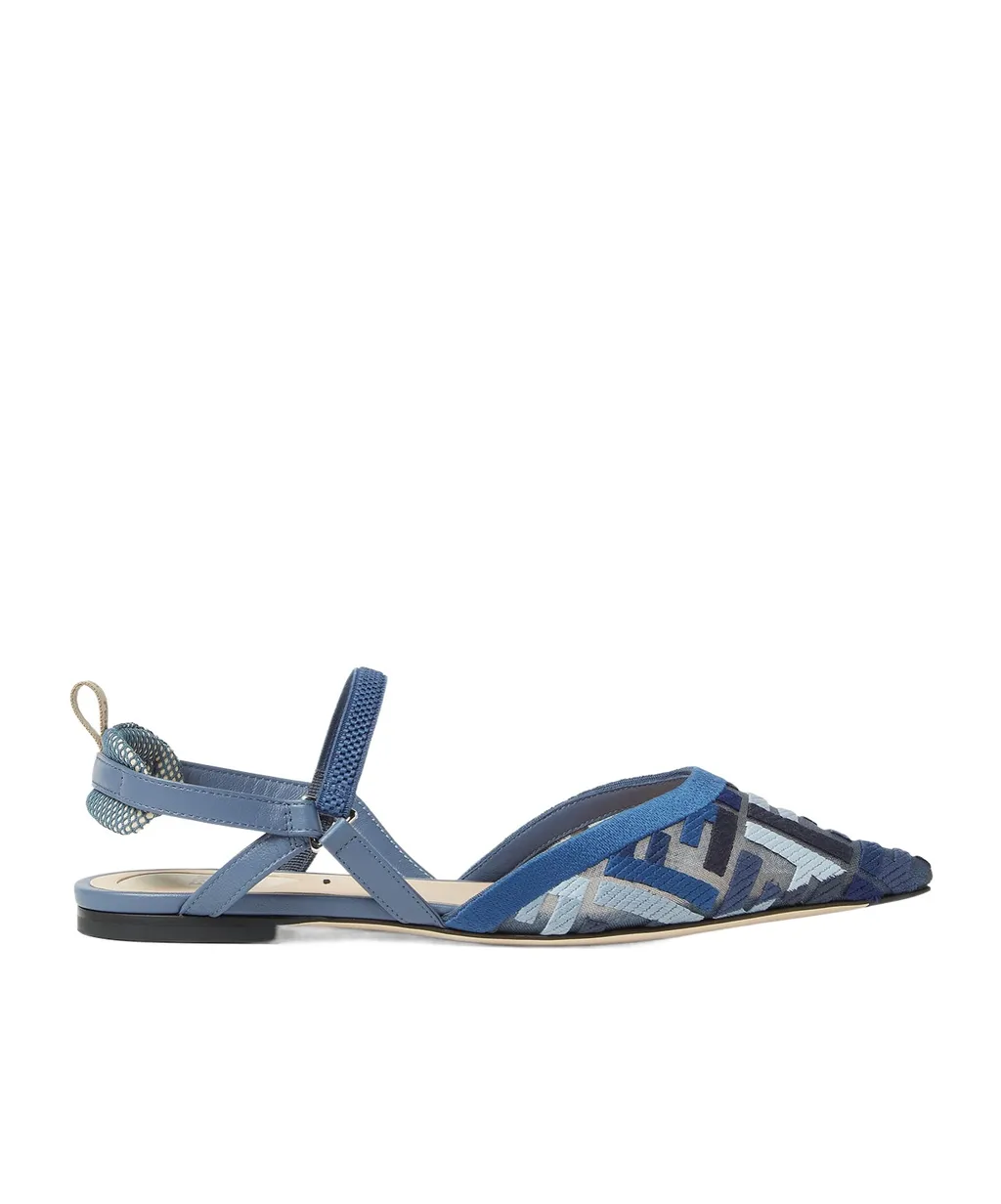 Colibrì Lite Pointed-Toe Ballerina Shoes
