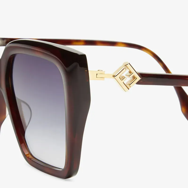 Full Frame Sunglasses
