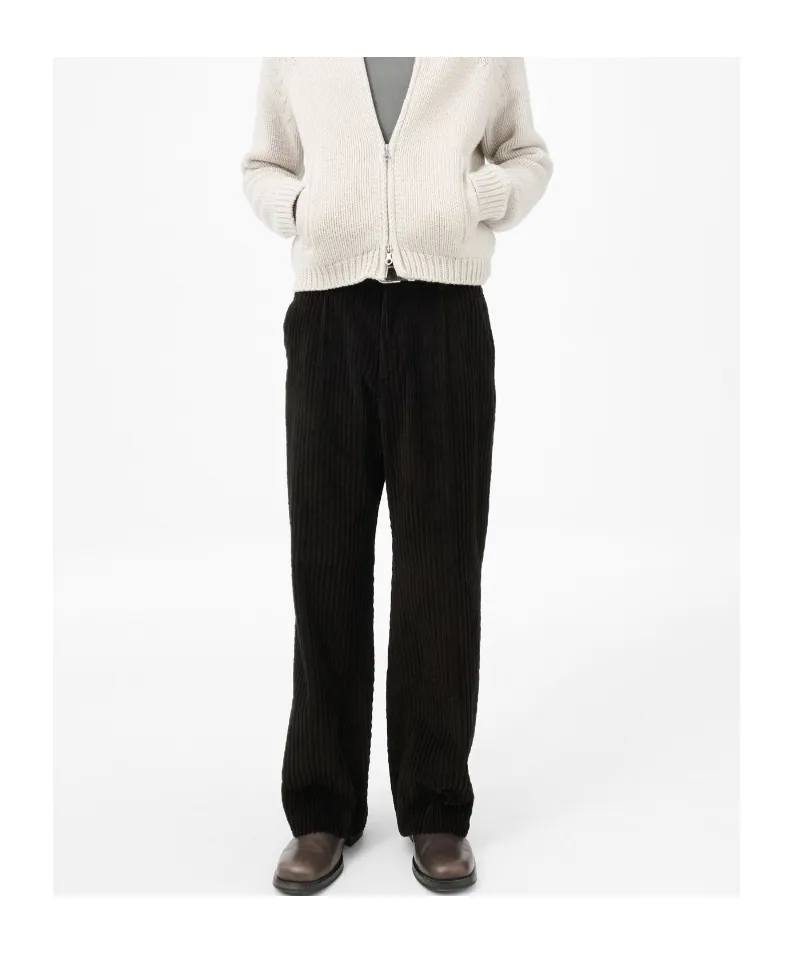 Borrowed Corduroy Chino Pants