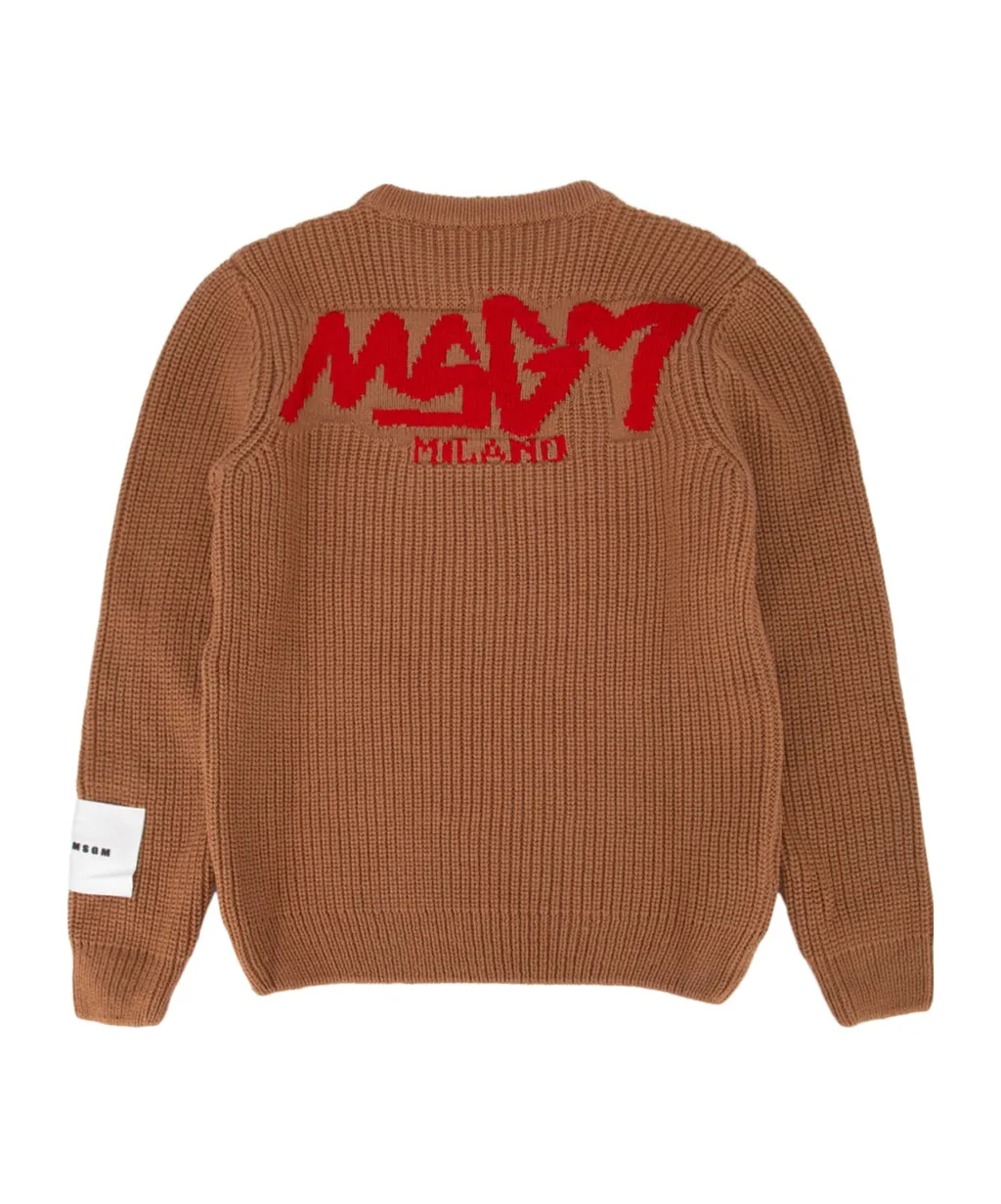 Logo Intarsia Crewneck Long-Sleeved Jumper