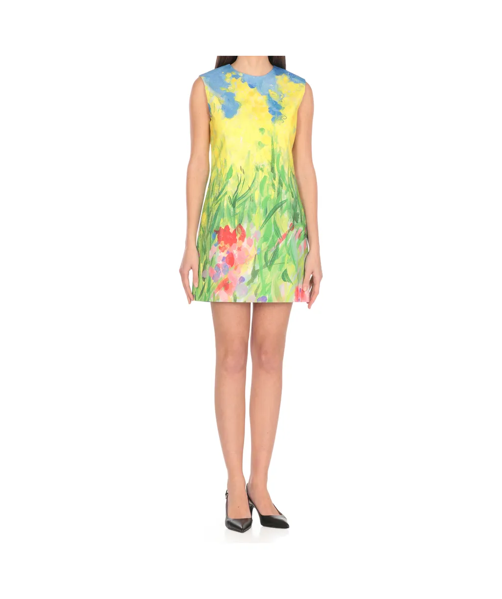 Printed Sleeveless Mini Dress