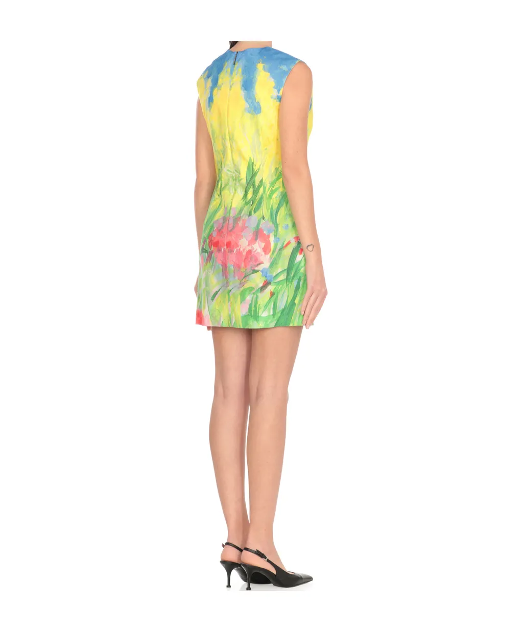 Printed Sleeveless Mini Dress