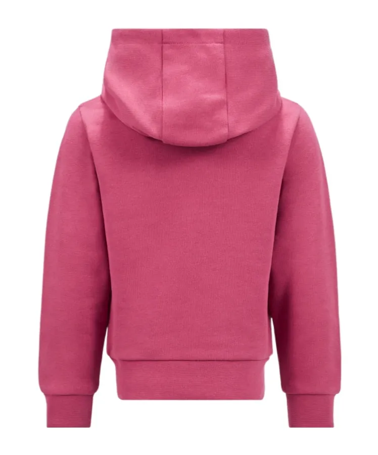 Embroidered Logo Hoodie