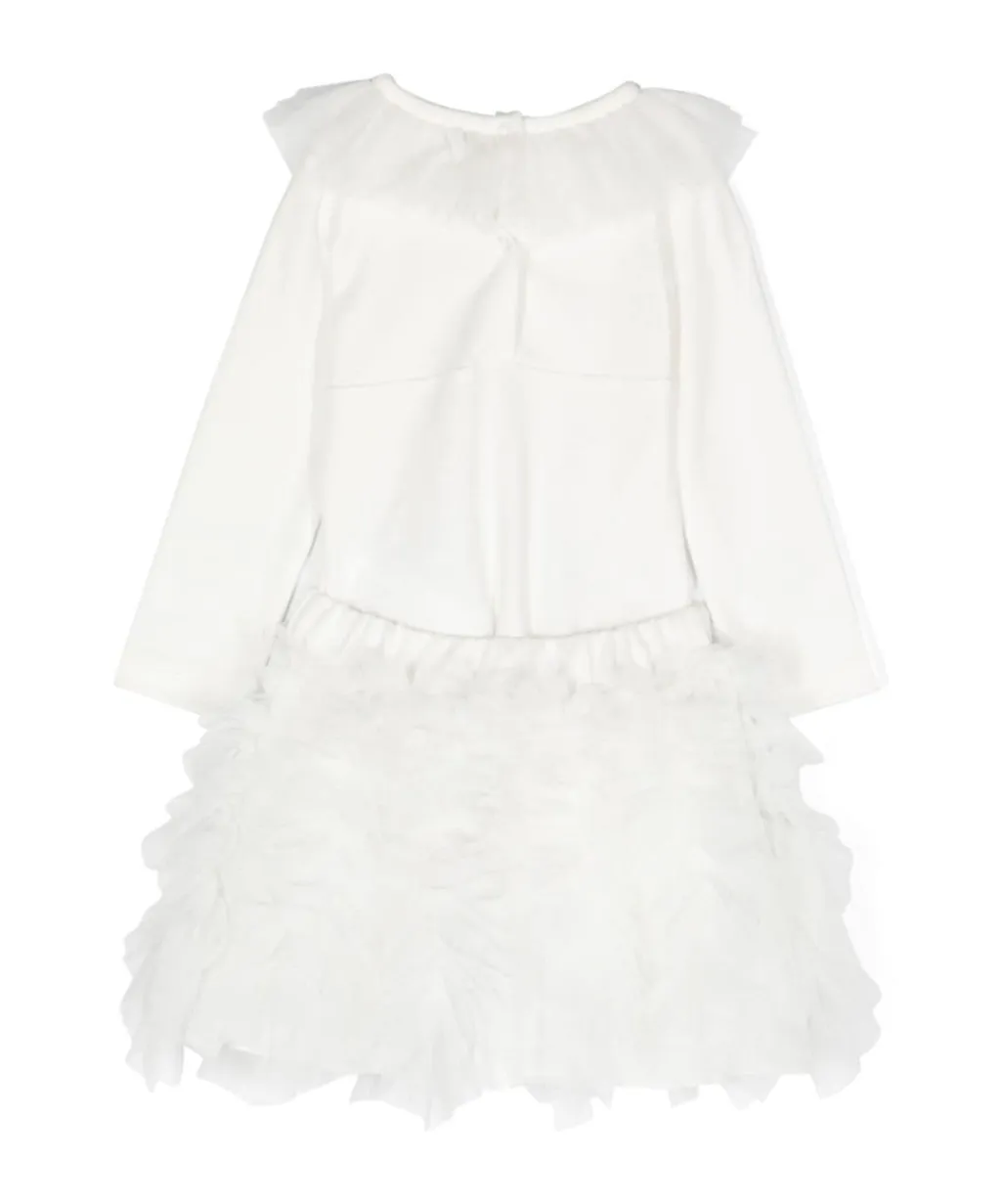Ruffled Detailed Tulle Dress