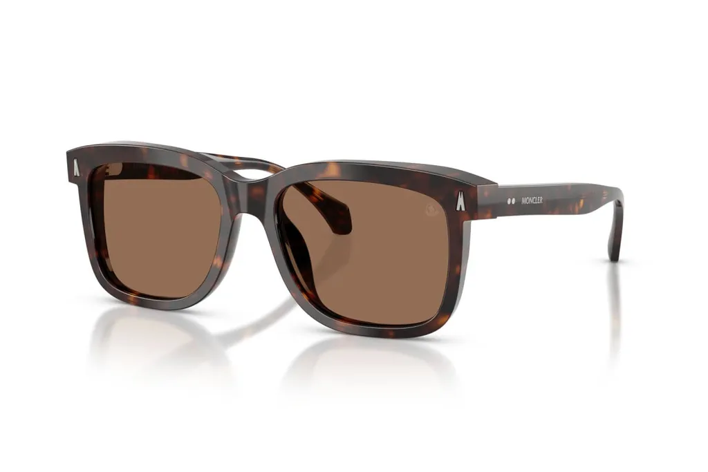 Full-Frame Sunglasses