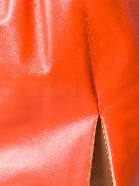 Leather Flared Mini Skirt