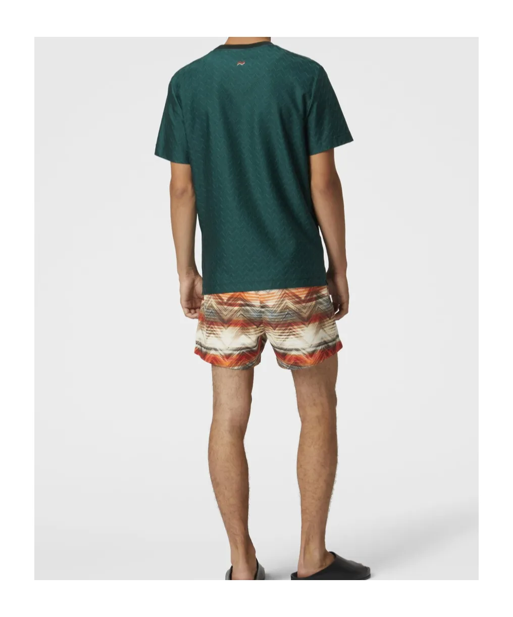 Zig Zag Printed Drawstring Swim Shorts