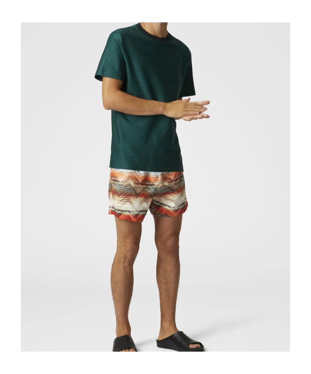 Zig Zag Printed Drawstring Swim Shorts