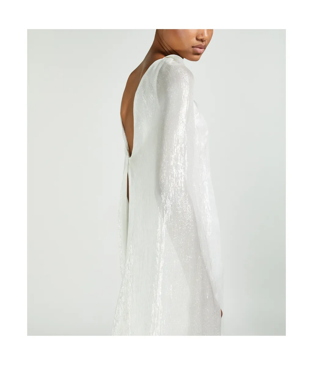Long Cape Silk Dress