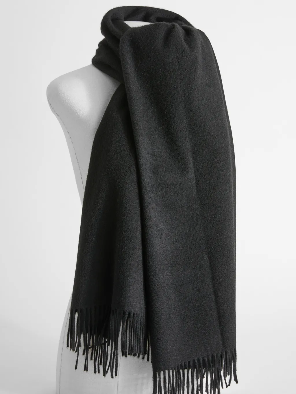 Logo Embroidered Fringed Edge Scarf