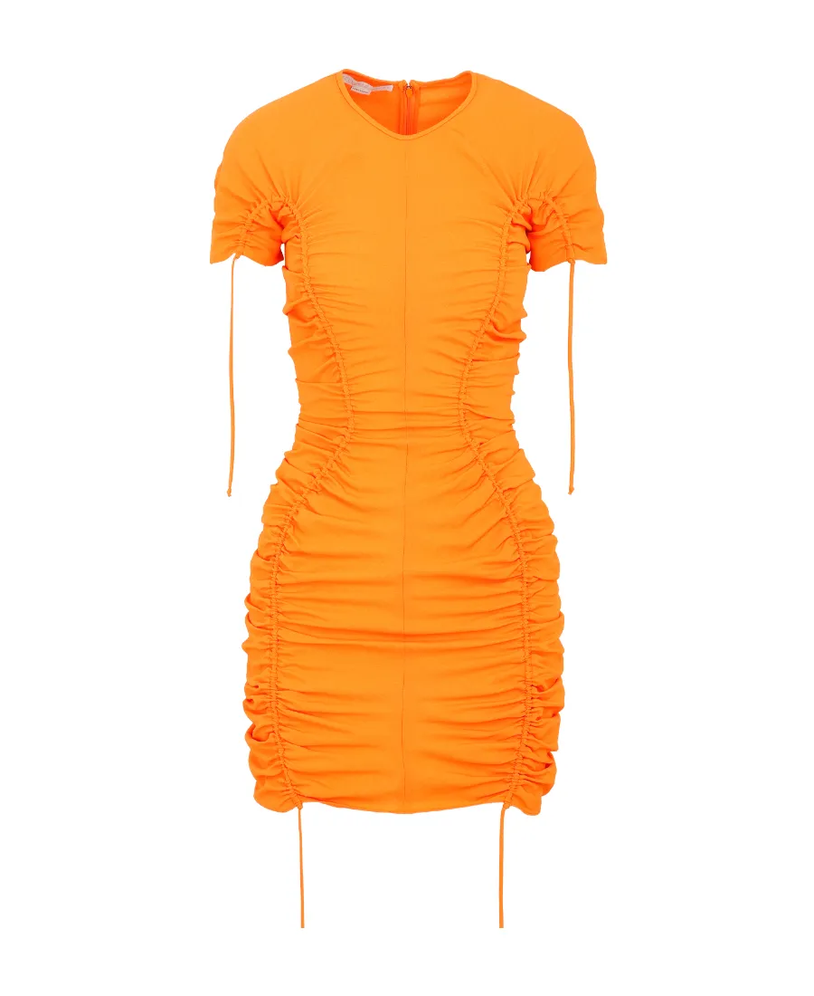 Ruched Fitted Dress