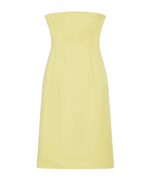 Zip Detailed Strapless Dress