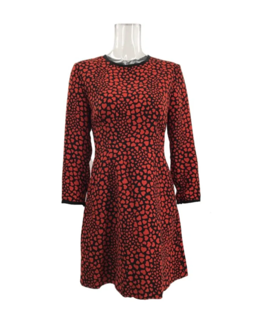 Long Sleeved Dress