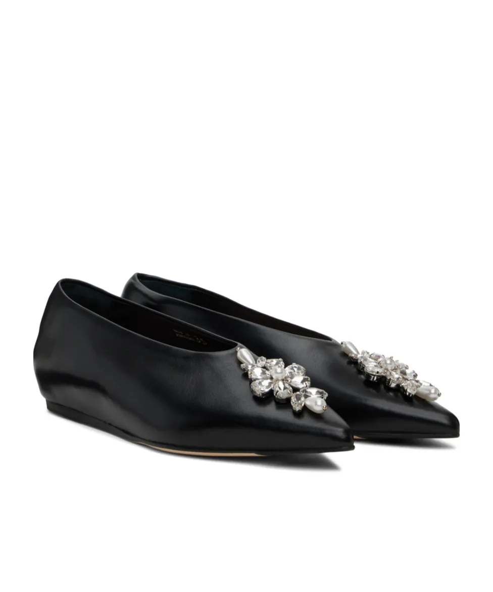 Embellished Pointed Toe Ballerina Flats