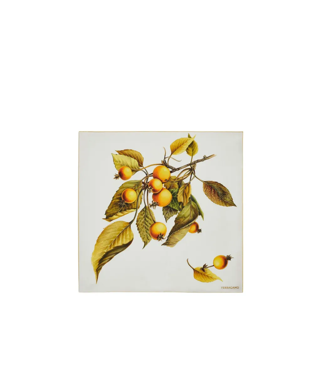 Printed Silk Scarf