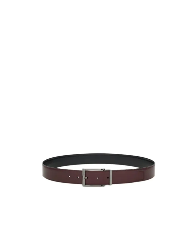 Reversible And Adjustable Belt