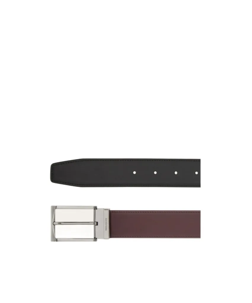 Reversible And Adjustable Belt