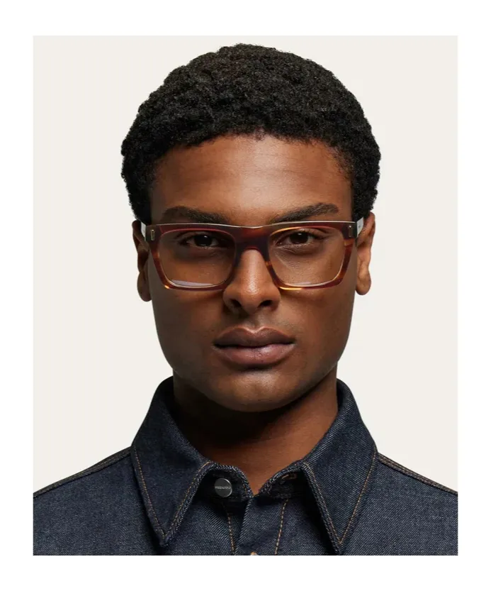 Optical Glasses