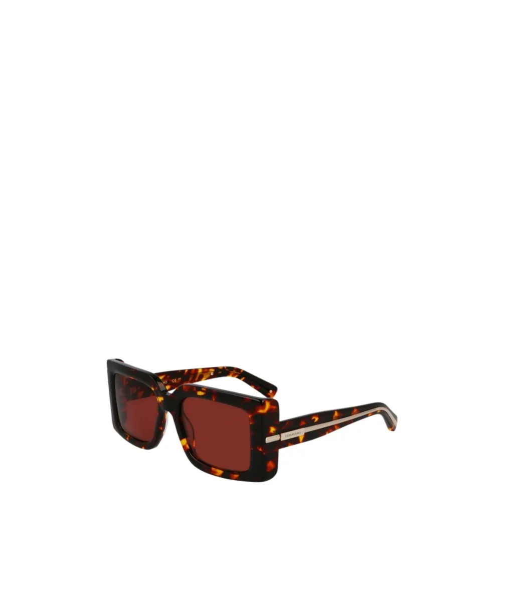 Frame Sunglasses