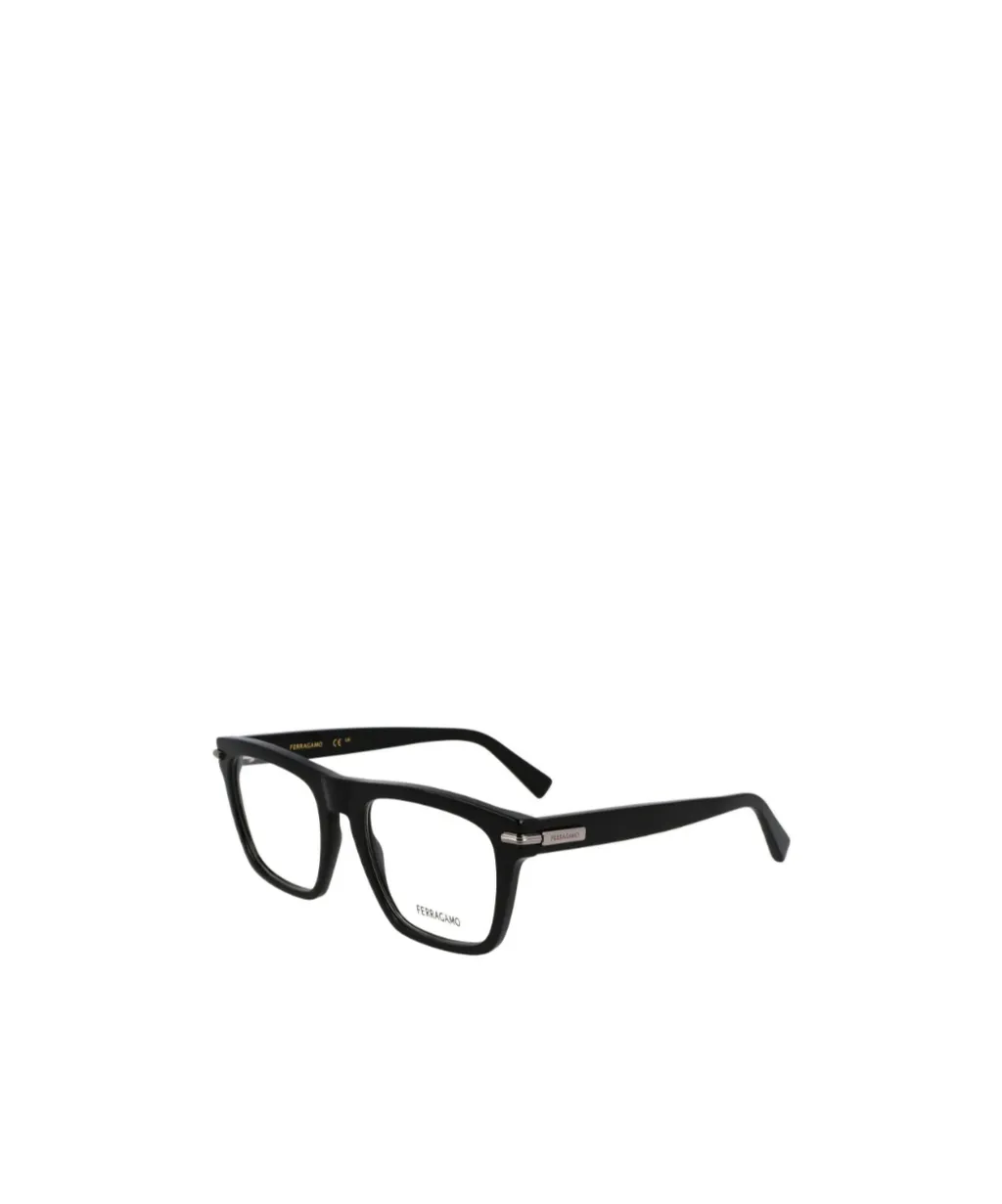 Optical Glasses