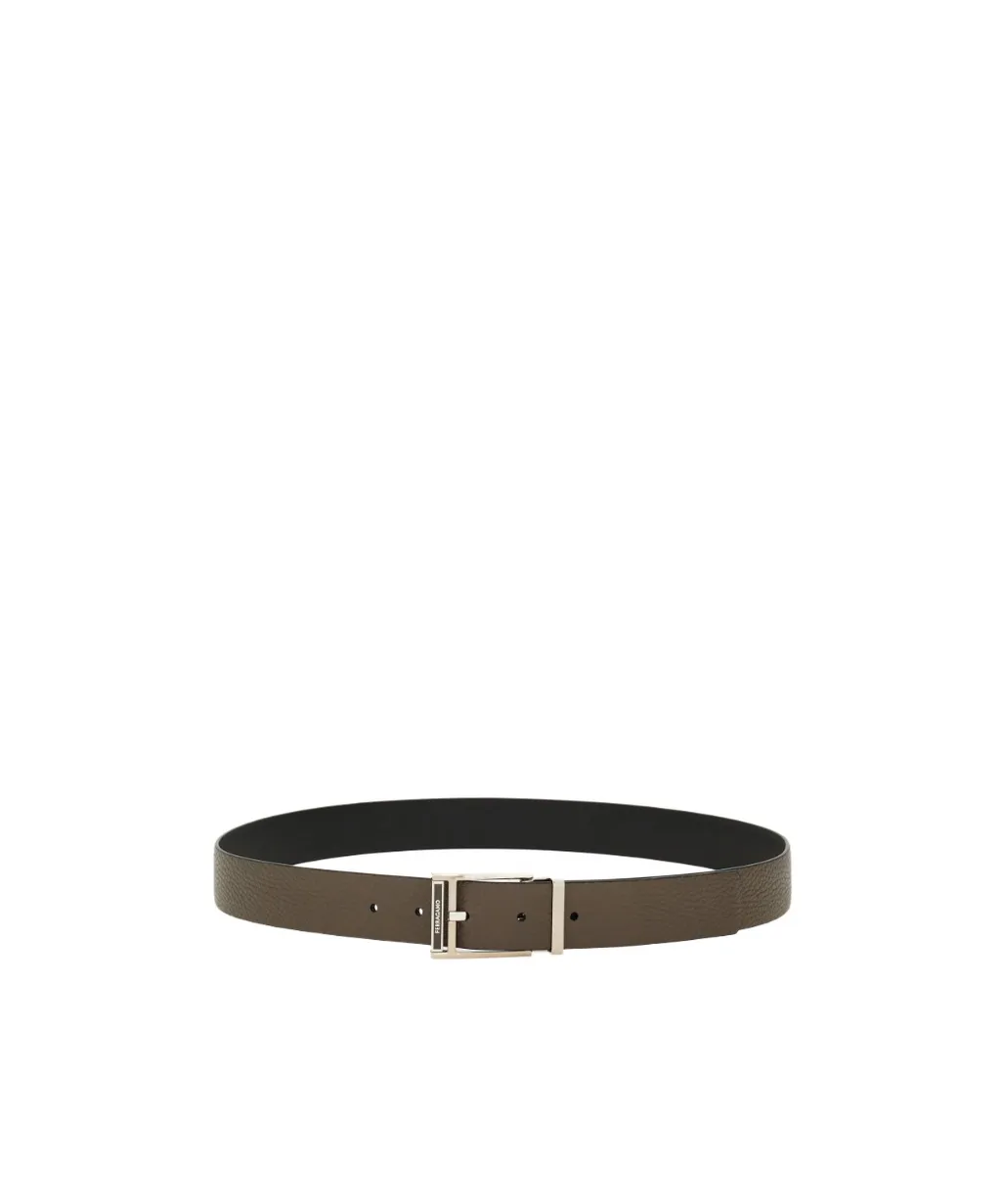 Reversible And Adjustable Belt