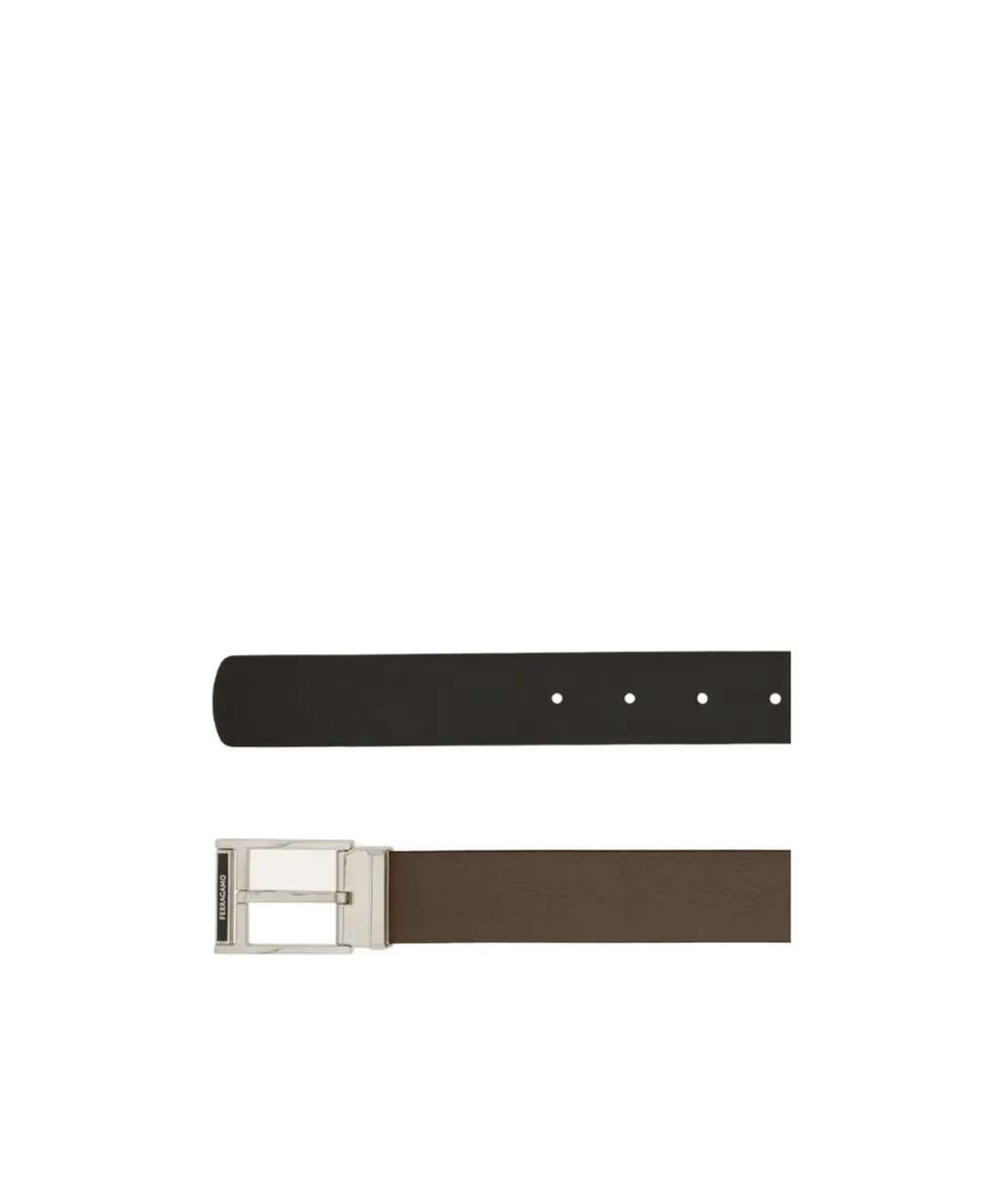 Reversible And Adjustable Belt