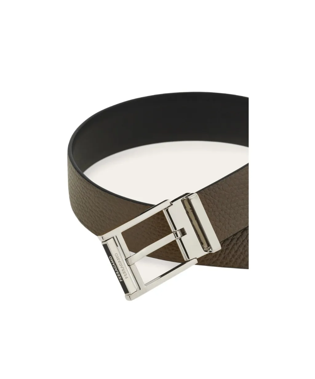 Reversible And Adjustable Belt