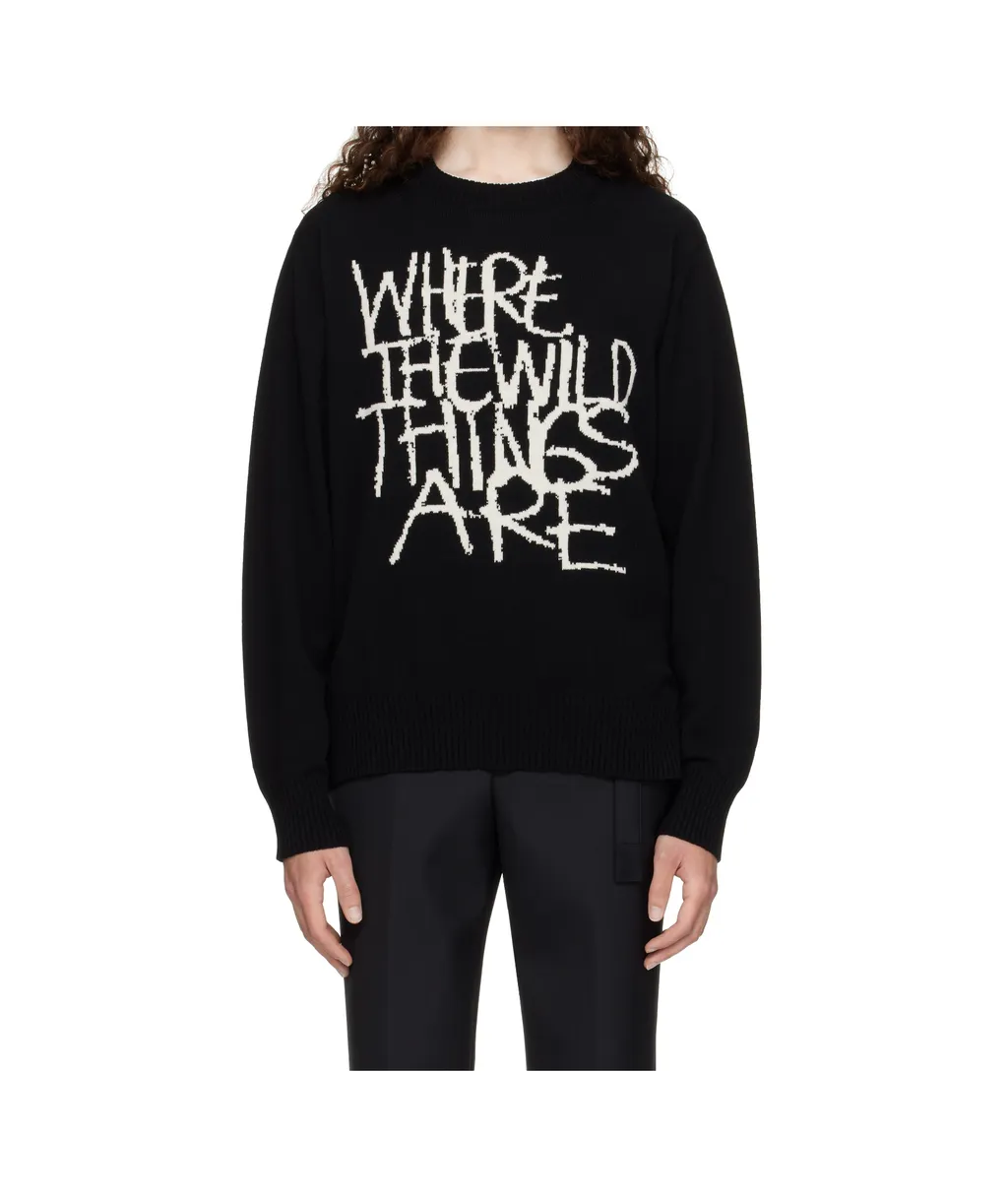 Long-Sleeved Sweater