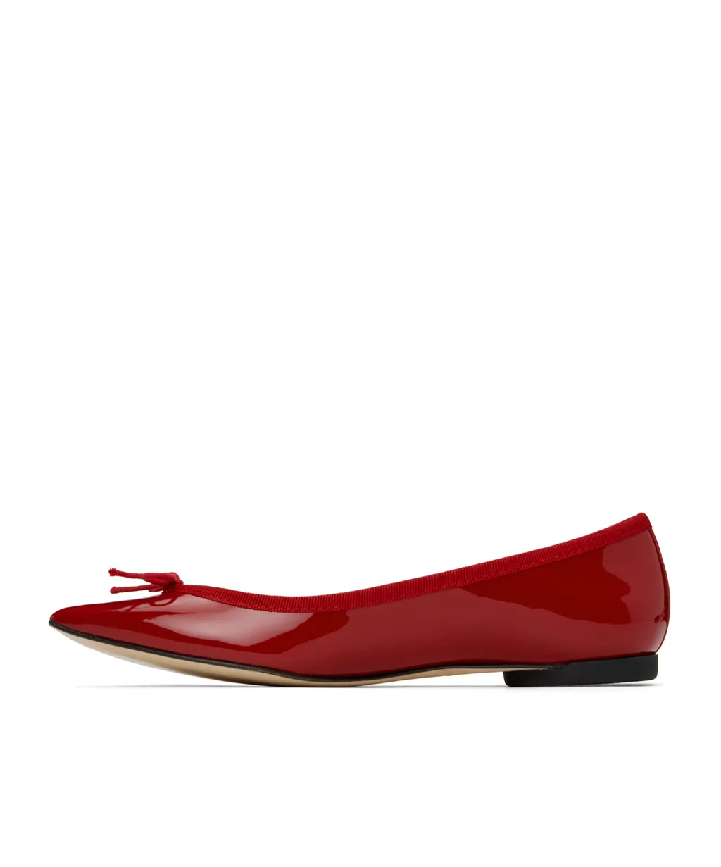 Pointed Ballet Shoes