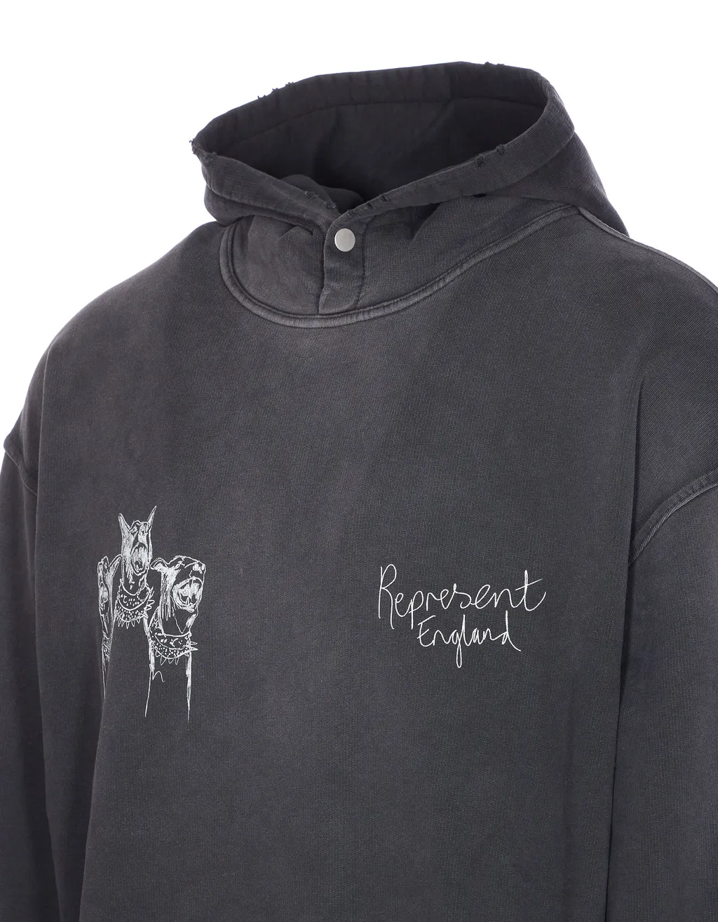 Thoroughbred Dogs Long Sleeved Hoodie