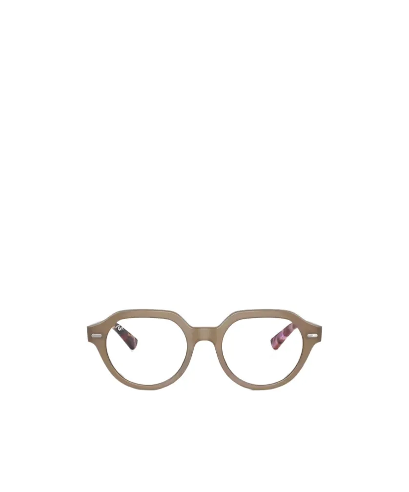 Gina Optics