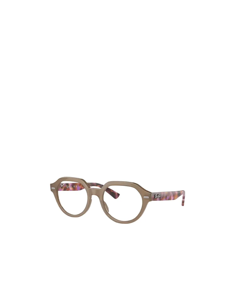 Gina Optics
