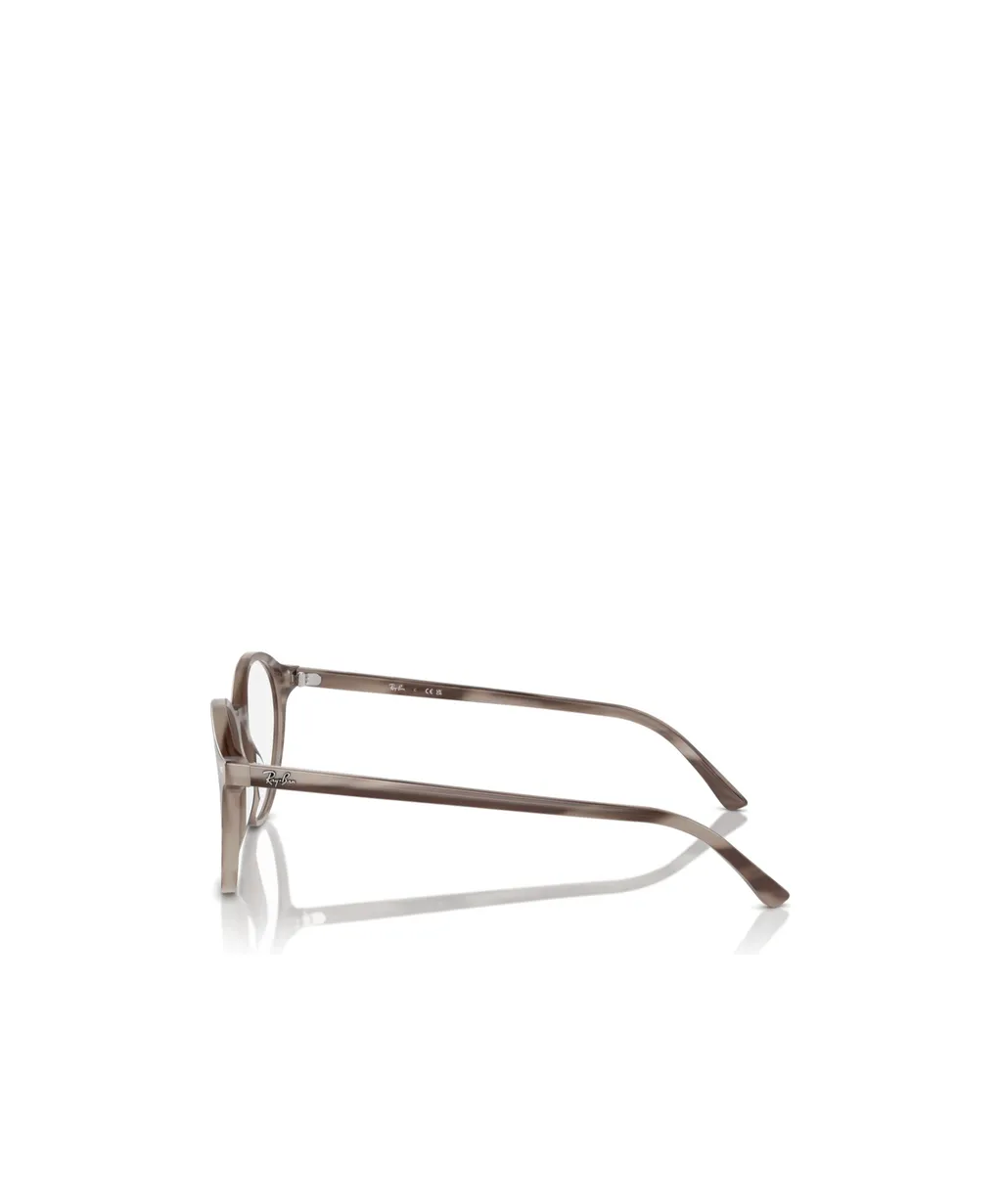 Bernard Glasses
