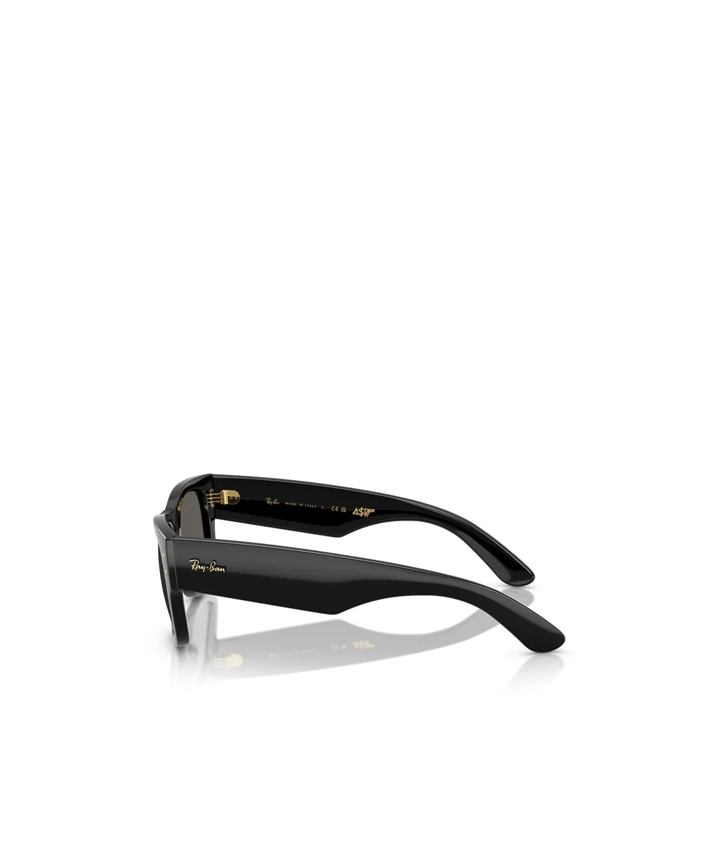 Frame Sunglasses
