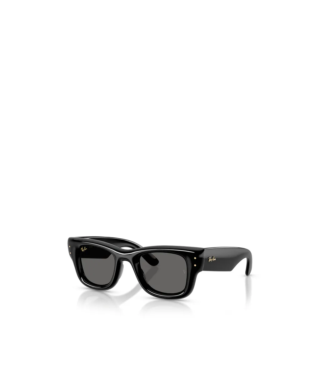 Full Frame Sunglasses