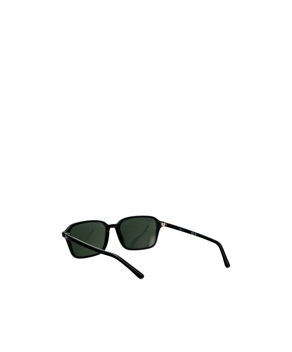 Frame Sunglasses