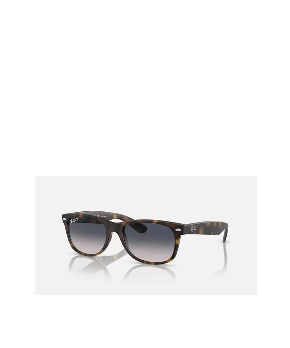 New Wayfarer Sunglasses