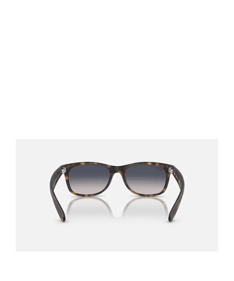New Wayfarer Sunglasses