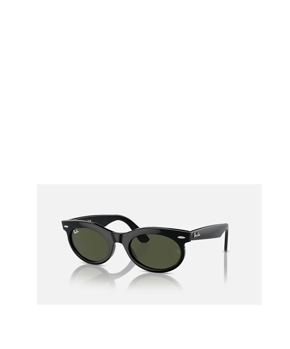 Wayfarer Oval-Frame Sunglasses