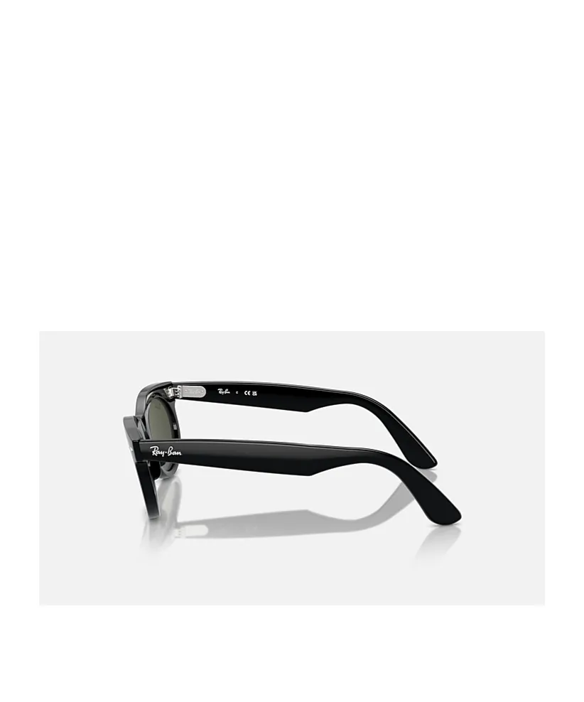 Wayfarer Oval-Frame Sunglasses