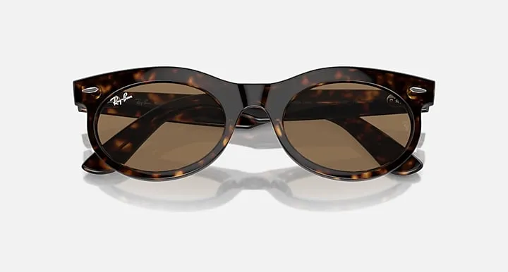 Wayfarer Oval-Frame Sunglasses