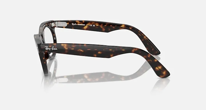 Wayfarer Oval-Frame Sunglasses