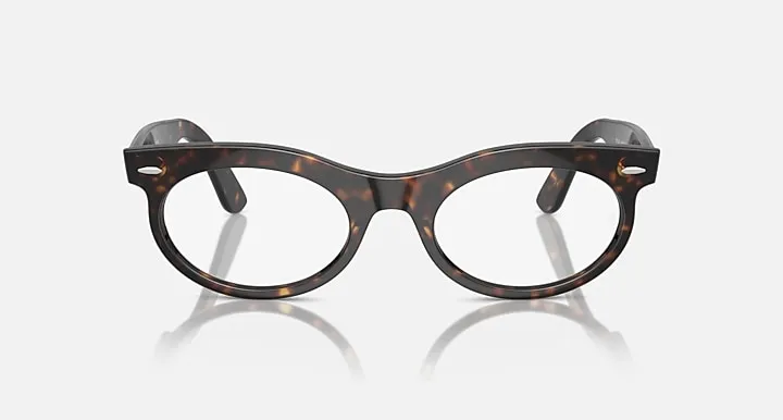 Wayfarer Oval-Frame Sunglasses