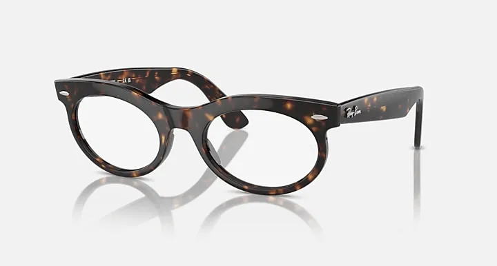 Wayfarer Oval-Frame Sunglasses